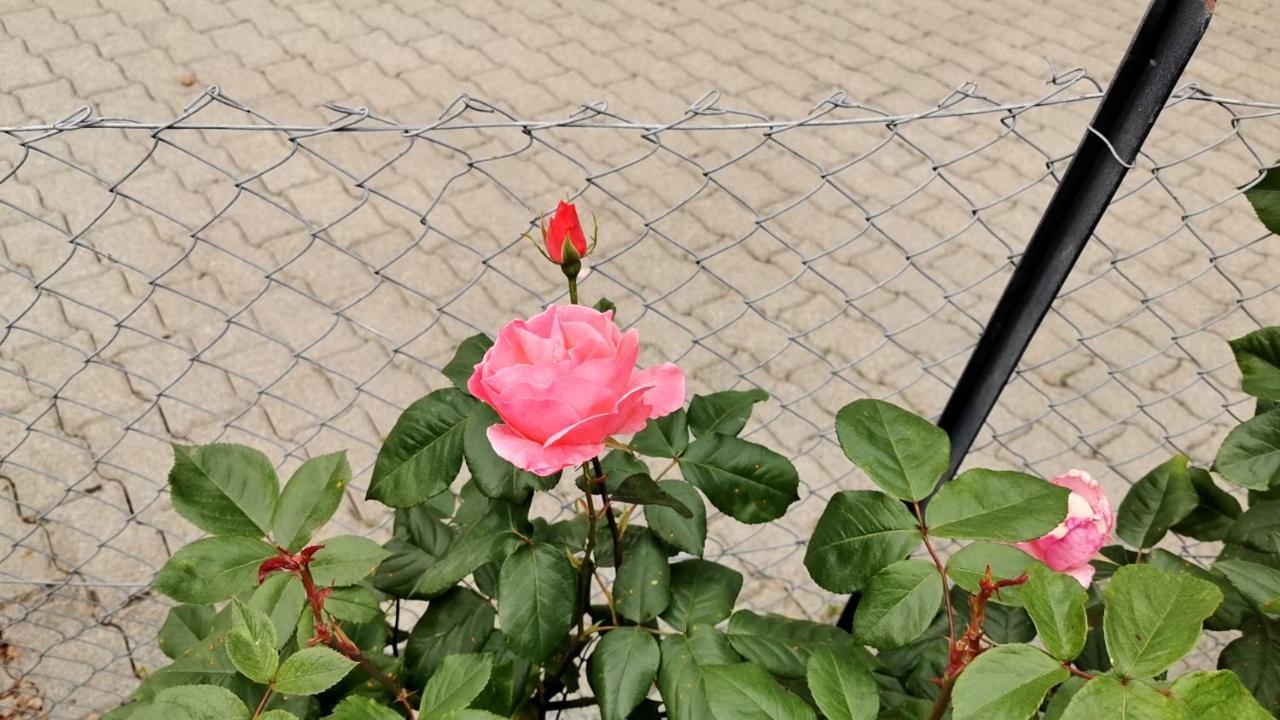 Hotel Pensione Serena Purasca Zewnętrze zdjęcie